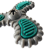 TPR Dental Spinner Dog Toy - For Light/Medium Chewers