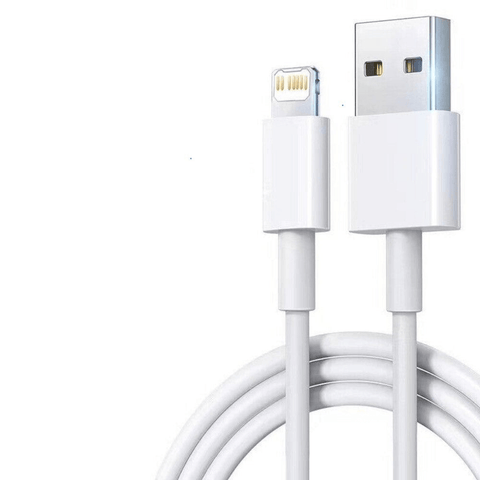 10FT Long USB Data Cable For iPhone - Apalipapa