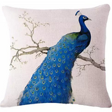 PEACOCK EXOTICA Cushion Covers In Pairs