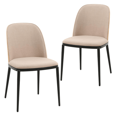 Mid-Century Modern Dining Side Chair with Velvet Seat and Steel Frame Set of 2 - Apalipapa