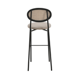 Modern Wicker Bar Stool With Black Steel Frame, Set of 2 - Apalipapa