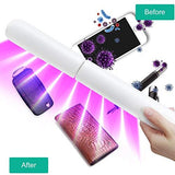 Amerfist Portable Ultraviolet Light Wand - Apalipapa